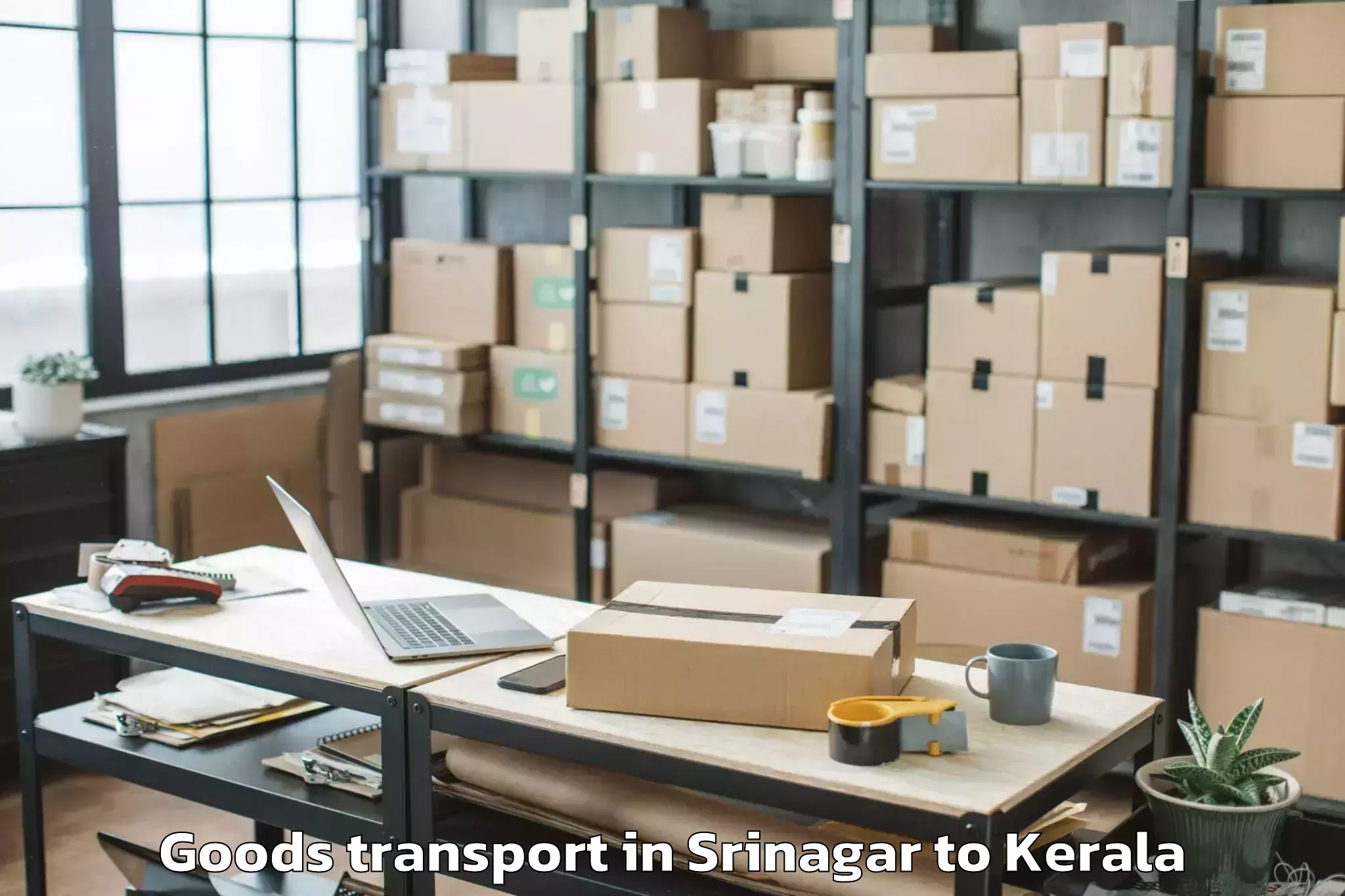 Book Srinagar to Kayankulam Goods Transport